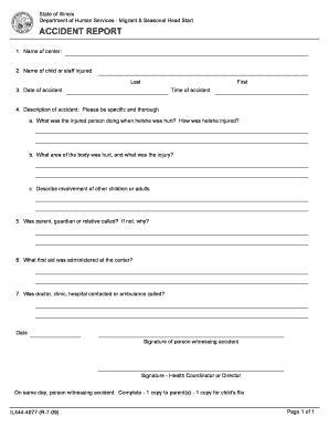 Illinois Accident Report Form