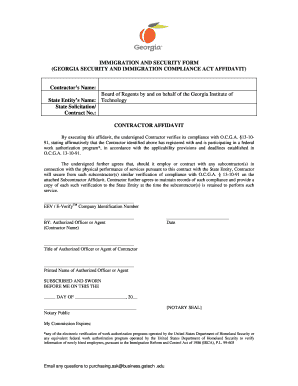 Georgia Security and Immigration Compliance Affidavit