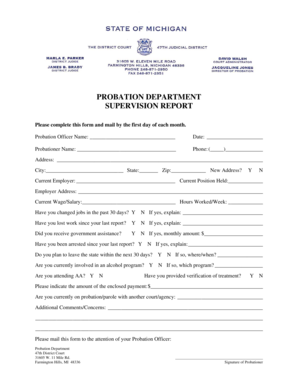 Probation Department Supervision Report