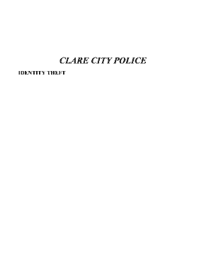 Identity Theft Victim Information Form