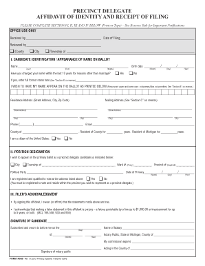 Michigan Precinct Delegate Affidavit of Identity