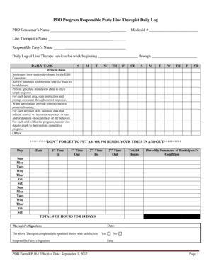 PDD Line Therapist Daily Log