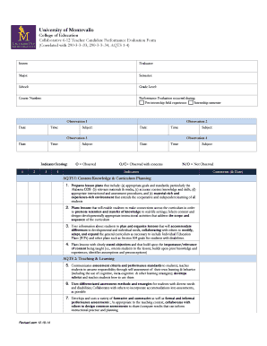 Teacher Candidate Performance Evaluation Form