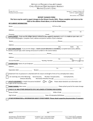 Child Support Changes Report Form