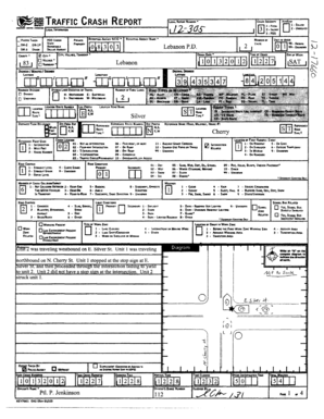 Crash Report Form