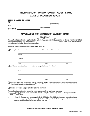 Ohio Minor Name Change Application