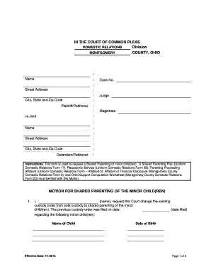 Motion for Shared Parenting of Minor Children
