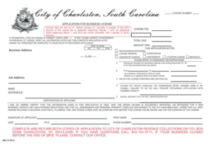 South Carolina Business License Application