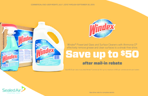 Windex Commercial End-User Mail-In Rebate Form