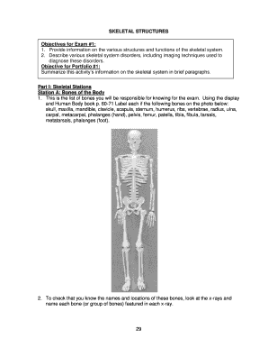 Skeletal System Study Guide