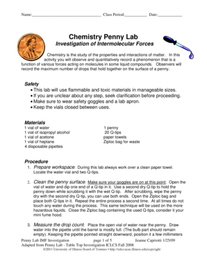 Penny Lab Chemistry Answers - Fill Online, Printable, Fillable, Blank
