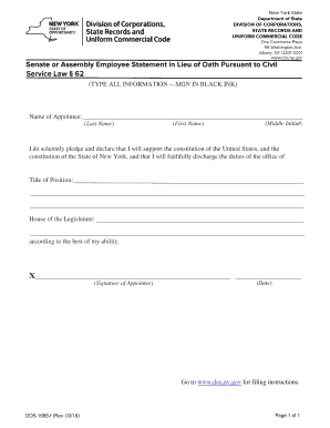 New York Appointee Oath of Office