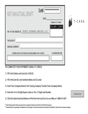 T-Check Payment Form