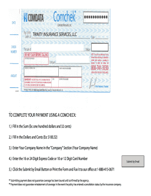 Comcheck Payment Form