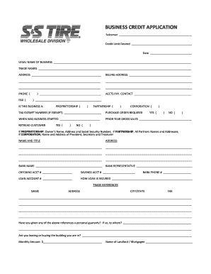Business Credit Application Form