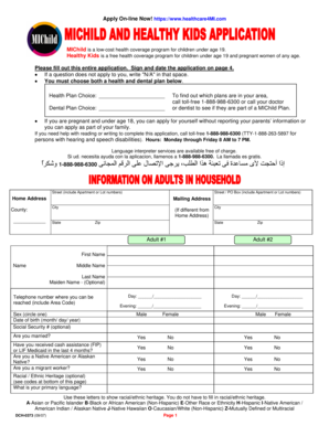 MIChild and Healthy Kids Health Coverage Application
