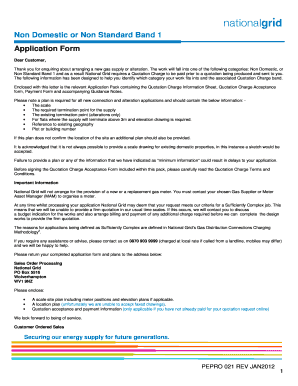 Non Domestic or Non Standard Band 1 Application Form