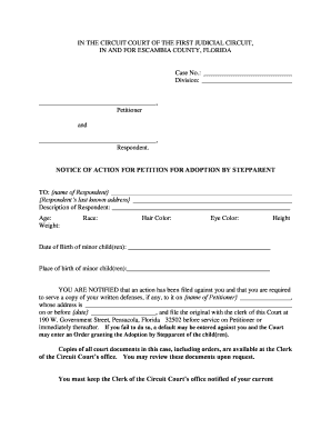 Notice of Action for Petition for Adoption by Stepparent