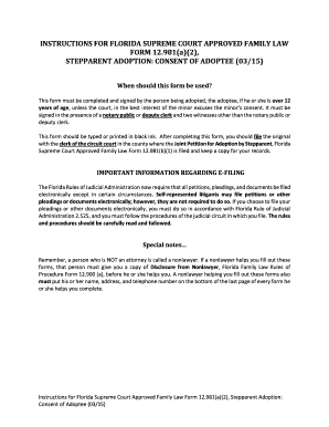 Florida Stepparent Adoption Consent Form