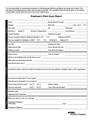 Employee's Work Injury Report