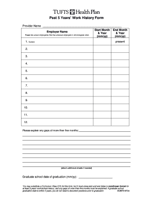 Past 5 Years Work History Form
