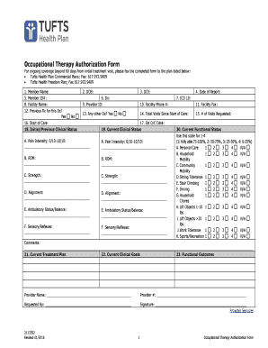 Occupational Therapy Authorization Form