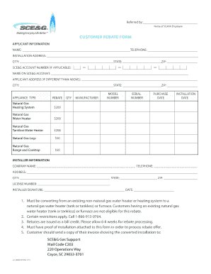 SCE&G Customer Rebate Form