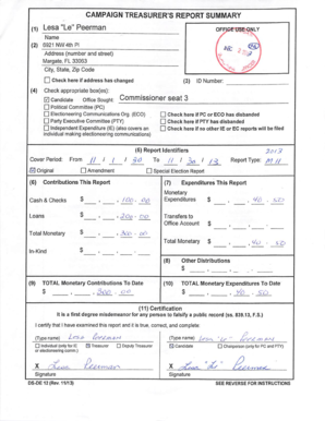 Campaign Treasurer's Report Form
