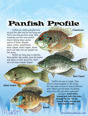 Pennsylvania League of Angling Youth Subscription Form