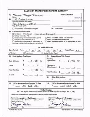 Campaign Treasurer's Report