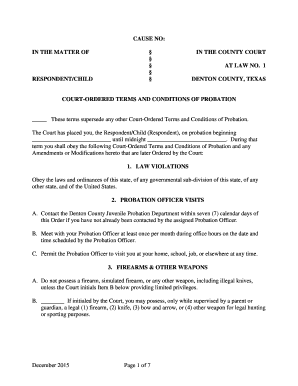 Texas Juvenile Probation Terms and Conditions