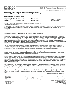 Radiology Report