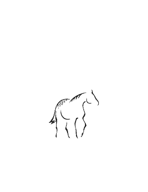 Annual Club Report