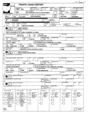 Traffic Crash Report Form