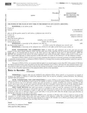 New York Execution Against Property Notice to Garnishee