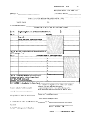 Georgia Probate Court Annual/Final Return Form