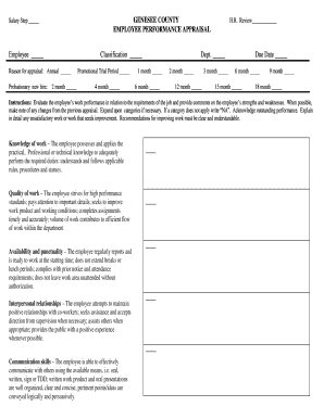 Employee Performance Appraisal Form