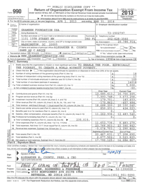 Form 990 2013
