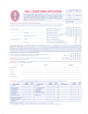 Eagle Scout Rank Application