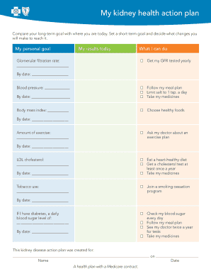 Kidney Health Action Plan