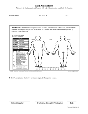 Pain Assessment Form