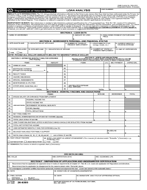 VA Loan Analysis Form