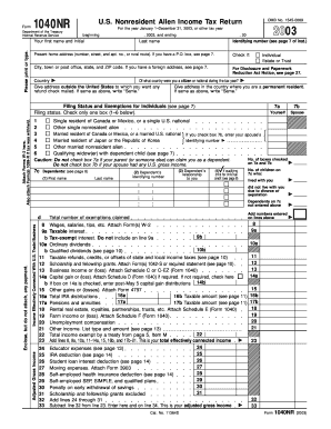 US Nonresident Alien Income Tax Return