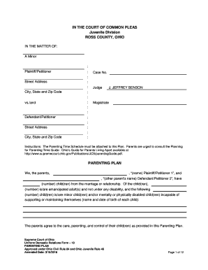 Ohio Parenting Plan Form