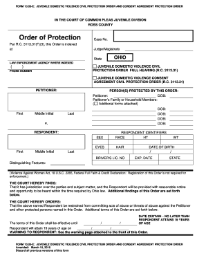 Juvenile Domestic Violence Civil Protection Order
