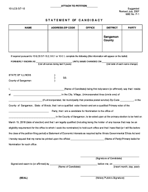 Illinois Statement of Candidacy Form