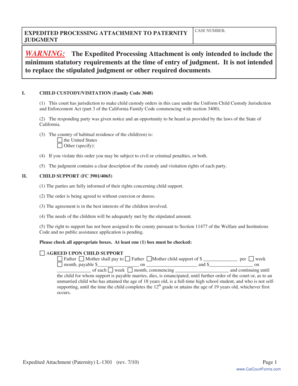 Expedited Processing Attachment to Paternity Case