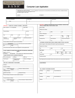 Consumer Loan Application Form