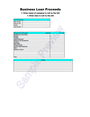 Business Loan Proceeds Form