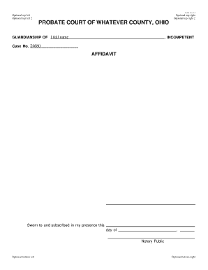 Ohio Guardianship Affidavit